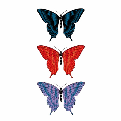 �^�g�D�[�V�[���@�R�F�g�H�i�^�g�D�[�E�h�V�[���j