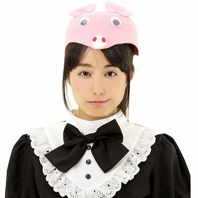 �A�j�}���X�q�@�E�T�M�i�ߑ��E�R�X�`���[���j