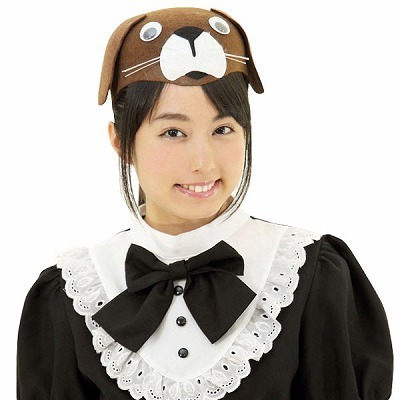 �A�j�}���X�q�@�C�k�i�ߑ��E�R�X�`���[���j