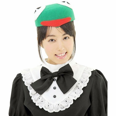 �A�j�}���X�q�@�J�G���i�ߑ��E�R�X�`���[���j