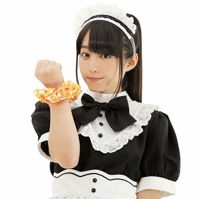 �V���V���@�I�����W�i�ߑ��E�R�X�`���[���j