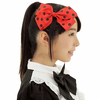 �h�b�g���{���@���b�h�i�ߑ��E�R�X�`���[���j