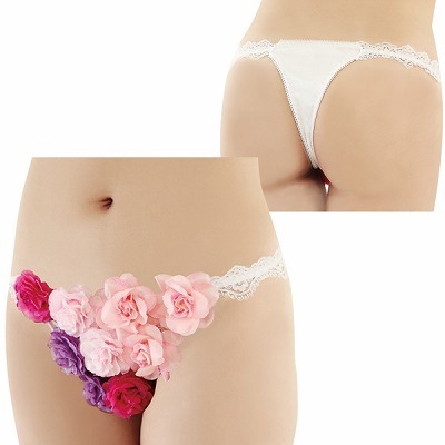 �t�����[�K�[�f���V���[�c�i�����j