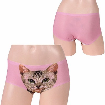 �L���b�g�v�����g���[���C�Y�{�N�T�[�@�s���N�i�����j