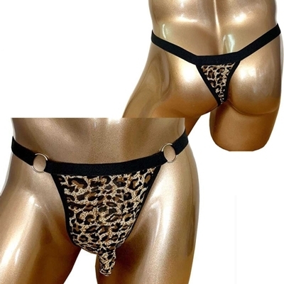 ���a�����c�������������C���h�r�L�j�p���c�i�v�|�O�P�T�j�@���I�p�[�h�i�����j