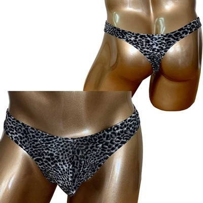 ���a�����c�������������C���h�r�L�j�p���c�i�v�|�O�P�U�j�@���I�p�[�h�i�����j