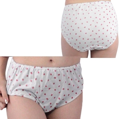 ���Ȃ��݂̗ǂ��C�`�S���R�b�g���[�����V���[�c�@�z���C�g�i�����j