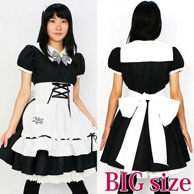 �~�A�����N�[�[�V���������@�a�h�f�i�ߑ��E�R�X�`���[���j