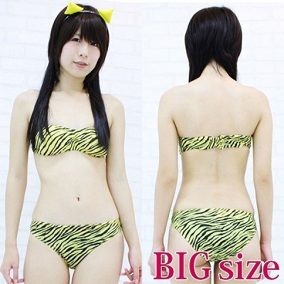 �S�^�F���l�����Z�b�g�@�a�h�f�i�R�X�v���ߑ��j