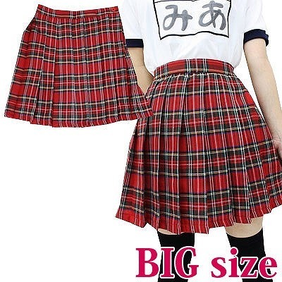 �`�F�b�N���v���[�c�X�J�[�g�@�a�h�f