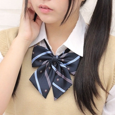 �X�N�[�����{���P�i�@��́i�ߑ��E�R�X�`���[���j