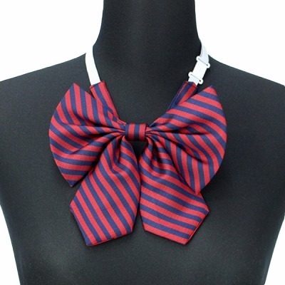 �X�N�[�����{���P�i�@�X�g���C�v�@�G���W�i�ߑ��E�R�X�`���[���j