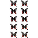 �^�g�D�[�V�[���@��(�^�g�D�[�E�h�V�[��)