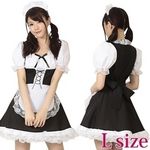 ���C�h����@�������I�@�k(�ߑ��E�R�X�`���[��)