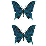 �^�g�D�[�V�[���@�g�H(�^�g�D�[�E�h�V�[��)