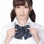 �������X�N�[�����{���@��̓u���[�X�g���C�v(�ߑ��E�R�X�`���[��)