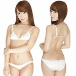 �t�F���J���n�C���S���u�����t���o�b�N�@�z���C�g(����)