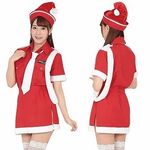 �����F�|���X�T���^(�ߑ��E�R�X�`���[��)