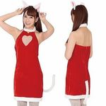 �l�R�ȃl�R�ڃT���^(�ߑ��E�R�X�`���[��)