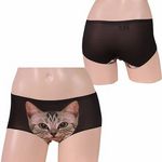 �L���b�g�v�����g���[���C�Y�{�N�T�[�@�u���b�N(����)