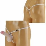 �����Y�@�Q�������X�g���b�`�O�J���f�X�g�@�z���C�g(����)