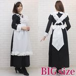 �}���[�����O���C�h�@�a�h�f(�ߑ��E�R�X�`���[��)