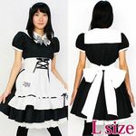 �~�A�����N�[�[�V���������@�k(�ߑ��E�R�X�`���[��)