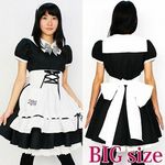 �~�A�����N�[�[�V���������@�a�h�f(�ߑ��E�R�X�`���[��)