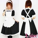 �~�A�J�t�F�����O�����@�k(�ߑ��E�R�X�`���[��)