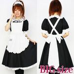 �~�A�J�t�F�����O�����@�a�h�f(�ߑ��E�R�X�`���[��)