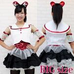 ��������A�C�h���@�����@�ߑ��@�a�h�f(�R�X�v���ߑ�)