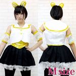 ��������A�C�h���@�����@�ߑ��@�l(�R�X�v���ߑ�)