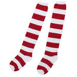 �j�[�n�C�{�[�_�[�@���R����(�ߑ��E�R�X�`���[��)