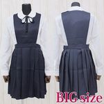 �������q������эZ�̐����i���~���j�@�a�h�f(�ߑ��E�R�X�`���[��)